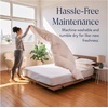 image:imageBrooklinen All Season Luxury Down Comforter 100 Natural Canadian Duck Down Duvet Insert  700 Fill Power 100 Cotton Shell Baffle Box Construction KingCali King Size Comforter  Allseason warmth from natural down in a 100 cotton shell bafflebox build stays fluffy amp even hotelquality comfortUltra Warm White