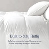 image:imageBrooklinen All Season Luxury Down Alternative Comforter  KingCalifornia King Comforter Size Cozy Soft Bedding w 100 Cotton Sateen Shell Vegan amp Baffle Box Construction  Ideal for All Sleepers