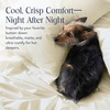image:imageBrooklinen Percale Duvet Cover Crisp amp Cooling  FullQueen Abyss  Cool crisp 100 cotton percale duvet cover breathable amp lightweight corner ties amp button closure secure your insertCream